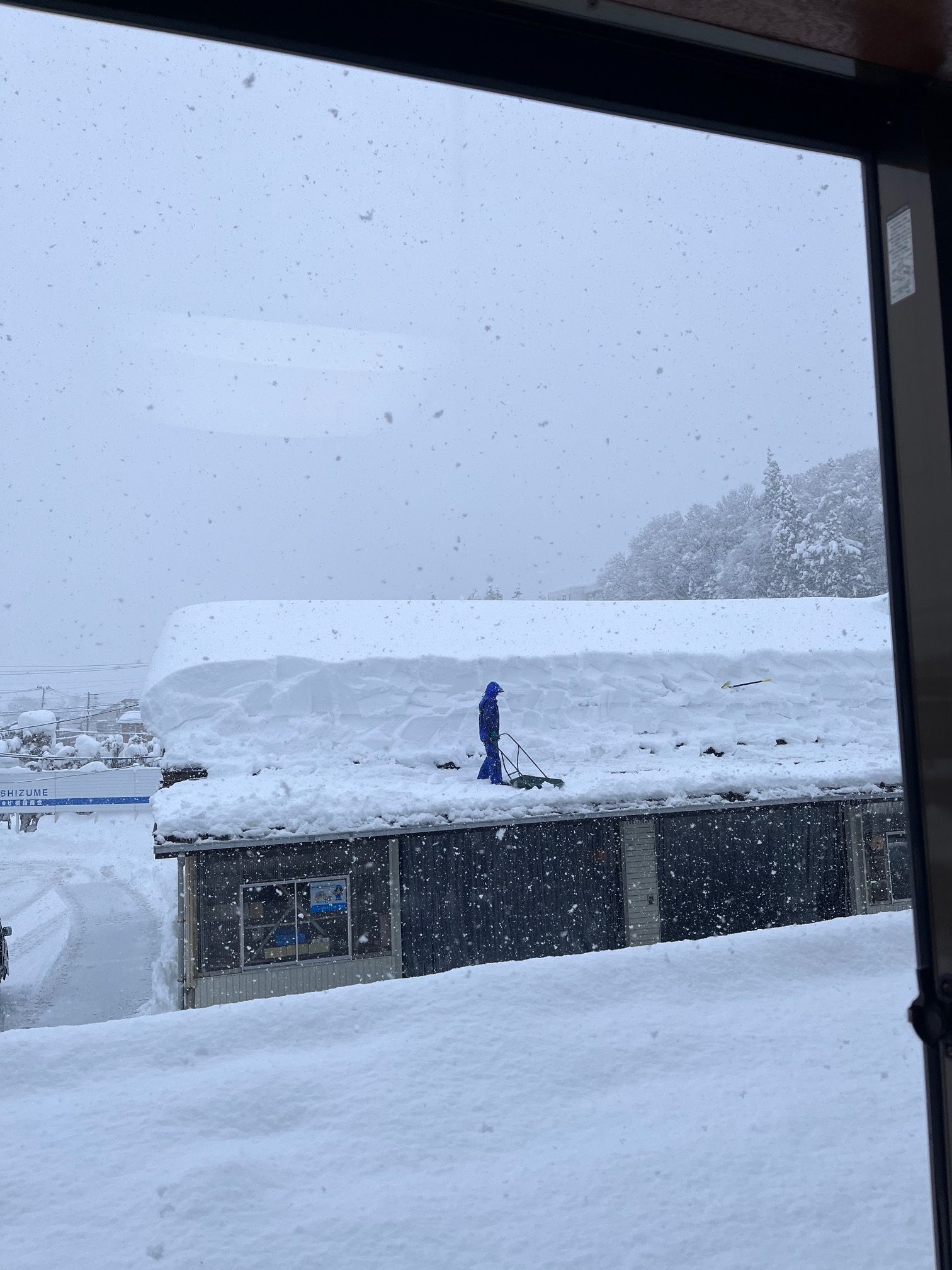 5AF7C8EB-A4F1-4D60-95EB-36C4D49B0FD3