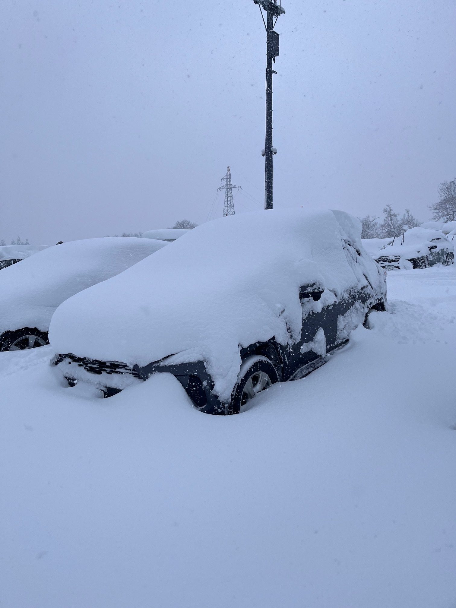 793A3CB3-ECFA-4C34-A890-68D5C3DA0722